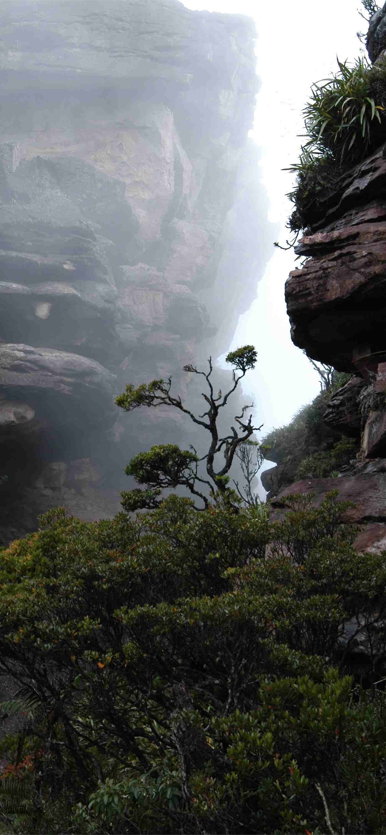 Mount Roraima Wallpapers