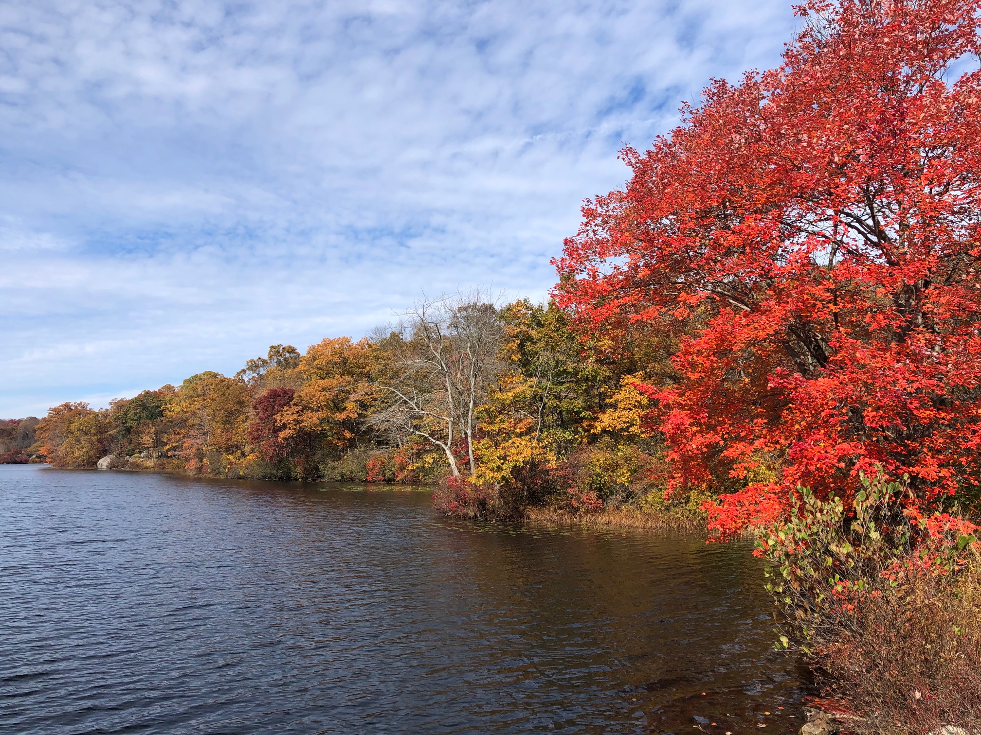 Mountain Fall Foliage Wallpapers