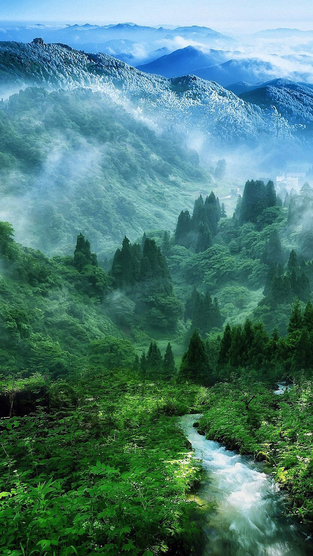 Mountain Forest Wallpapers