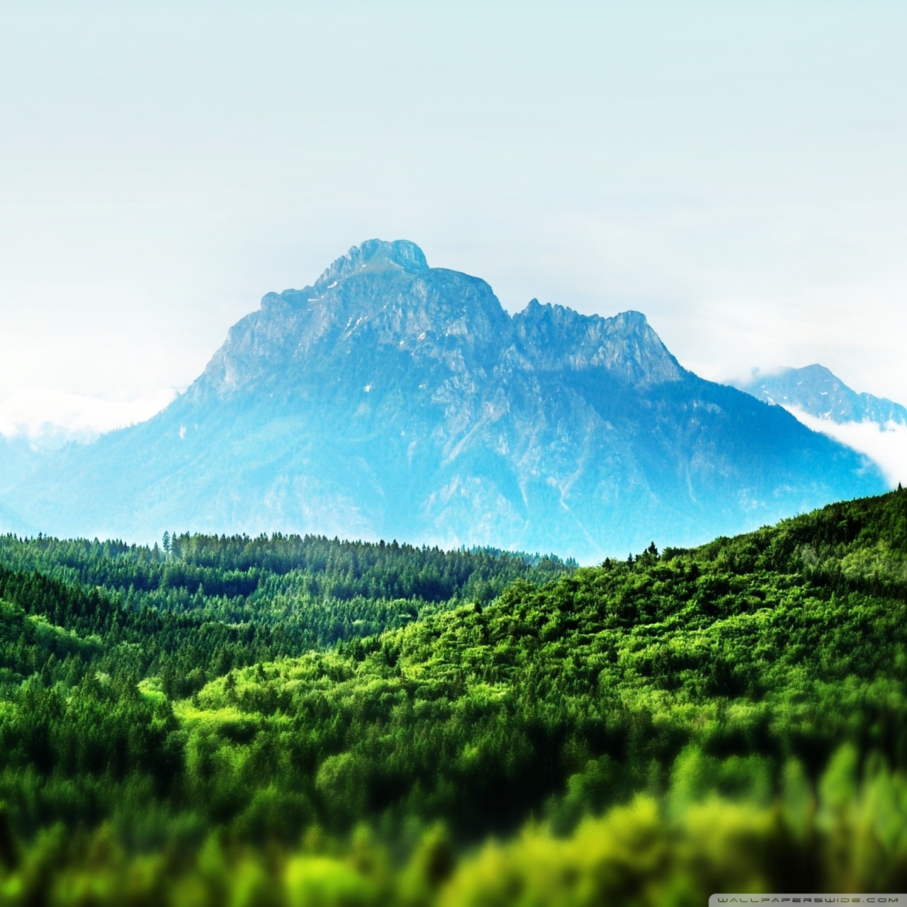 Mountain Forest Wallpapers