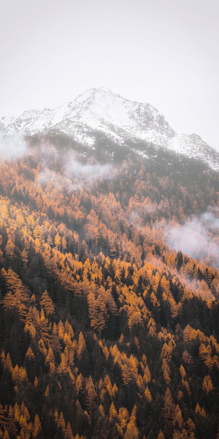 Mountain Landscape Autumn Wallpapers