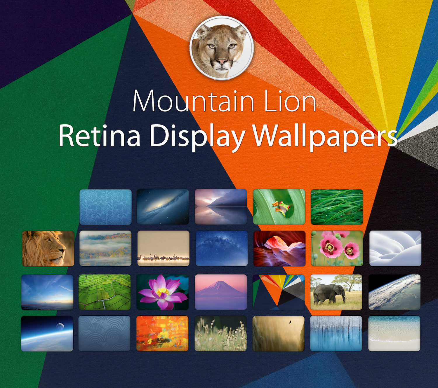 Mountain Lion Wallpapers