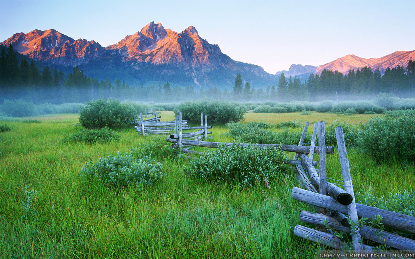 Mountain Meadow Wallpapers