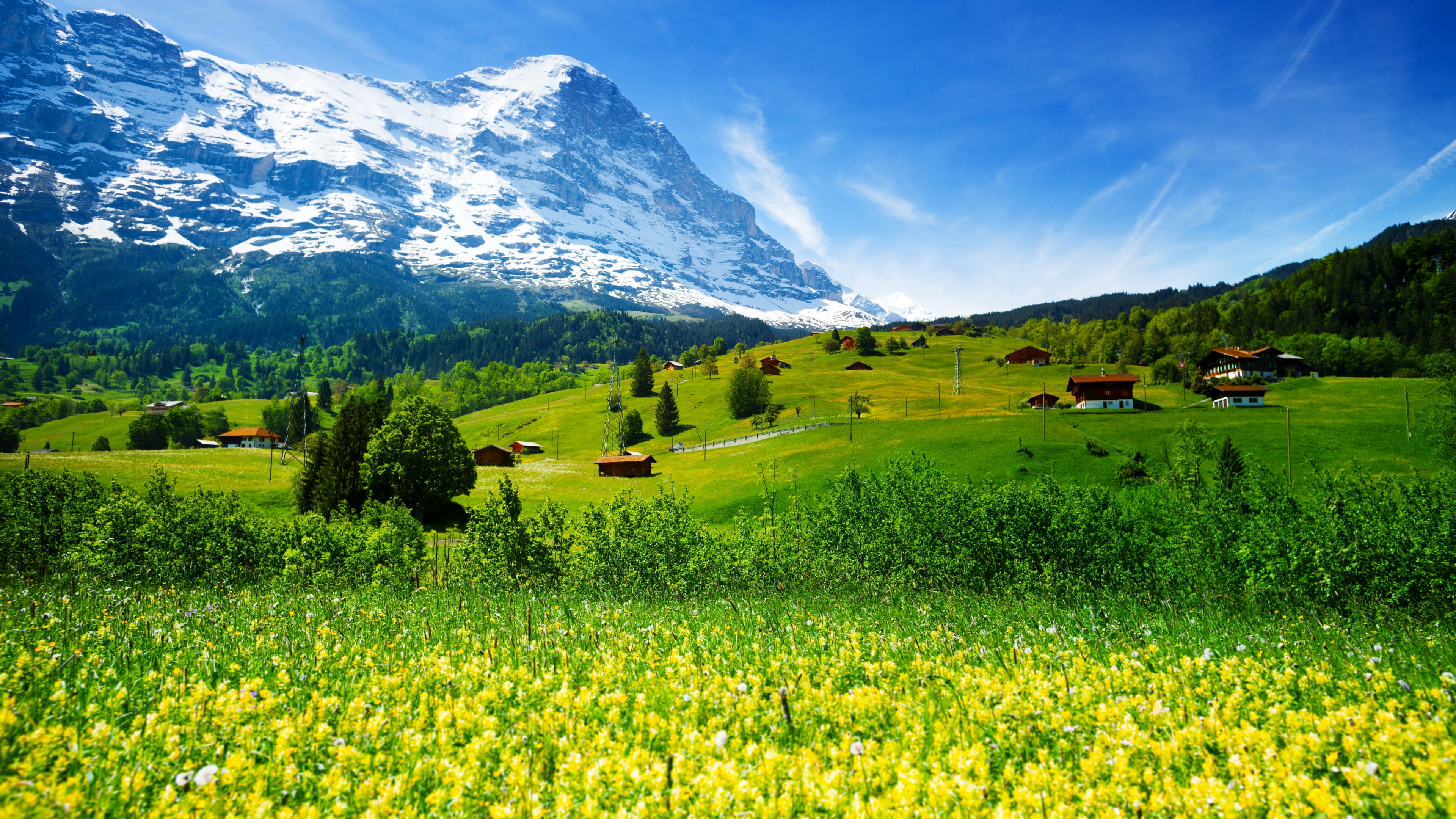 Mountain Meadow Wallpapers