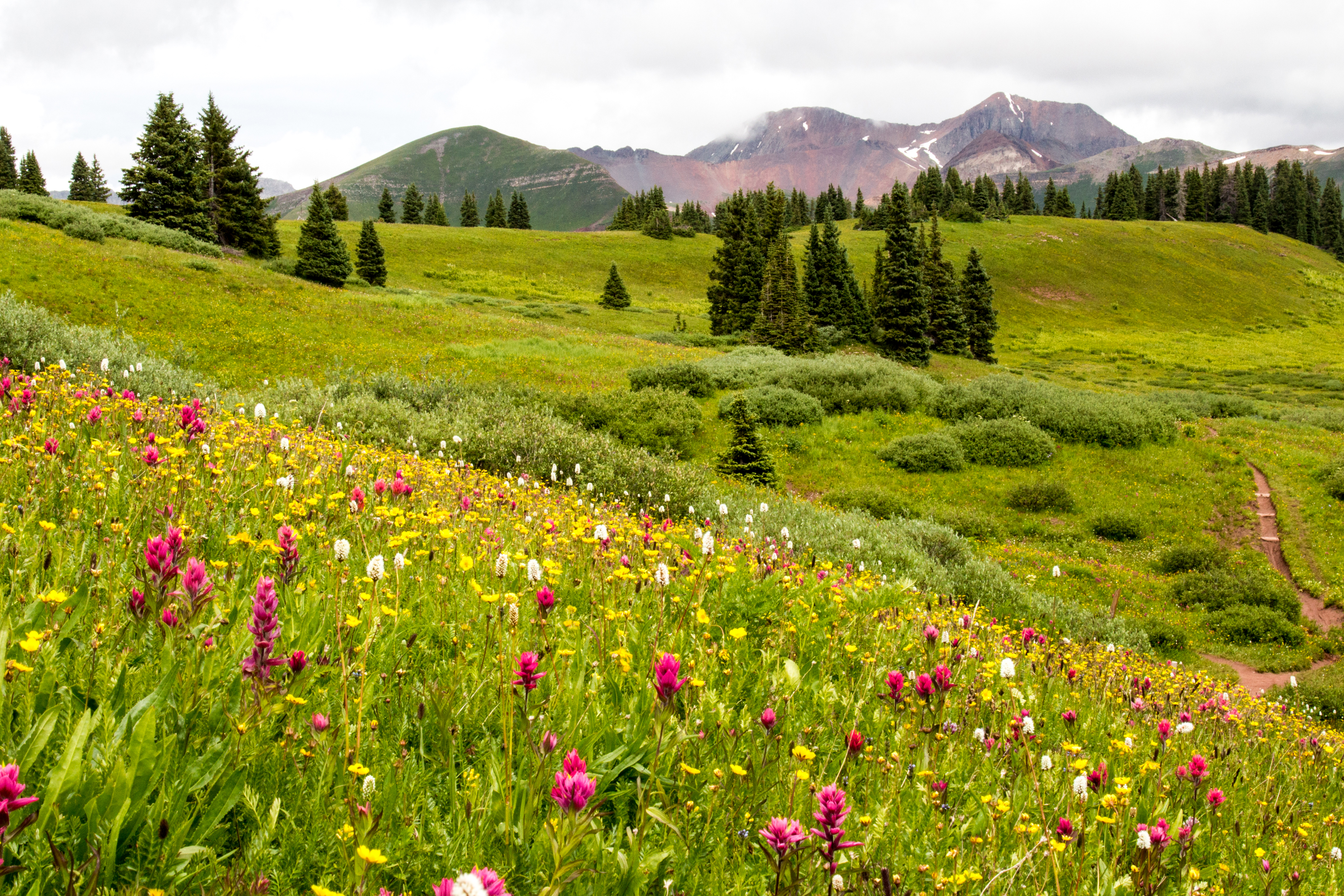 Mountain Meadow Wallpapers