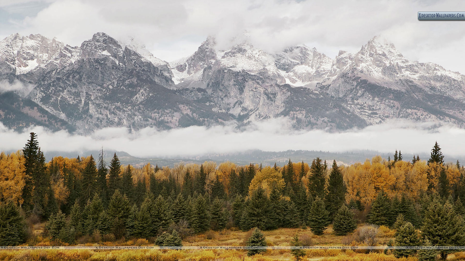 Mountain Meadow Wallpapers