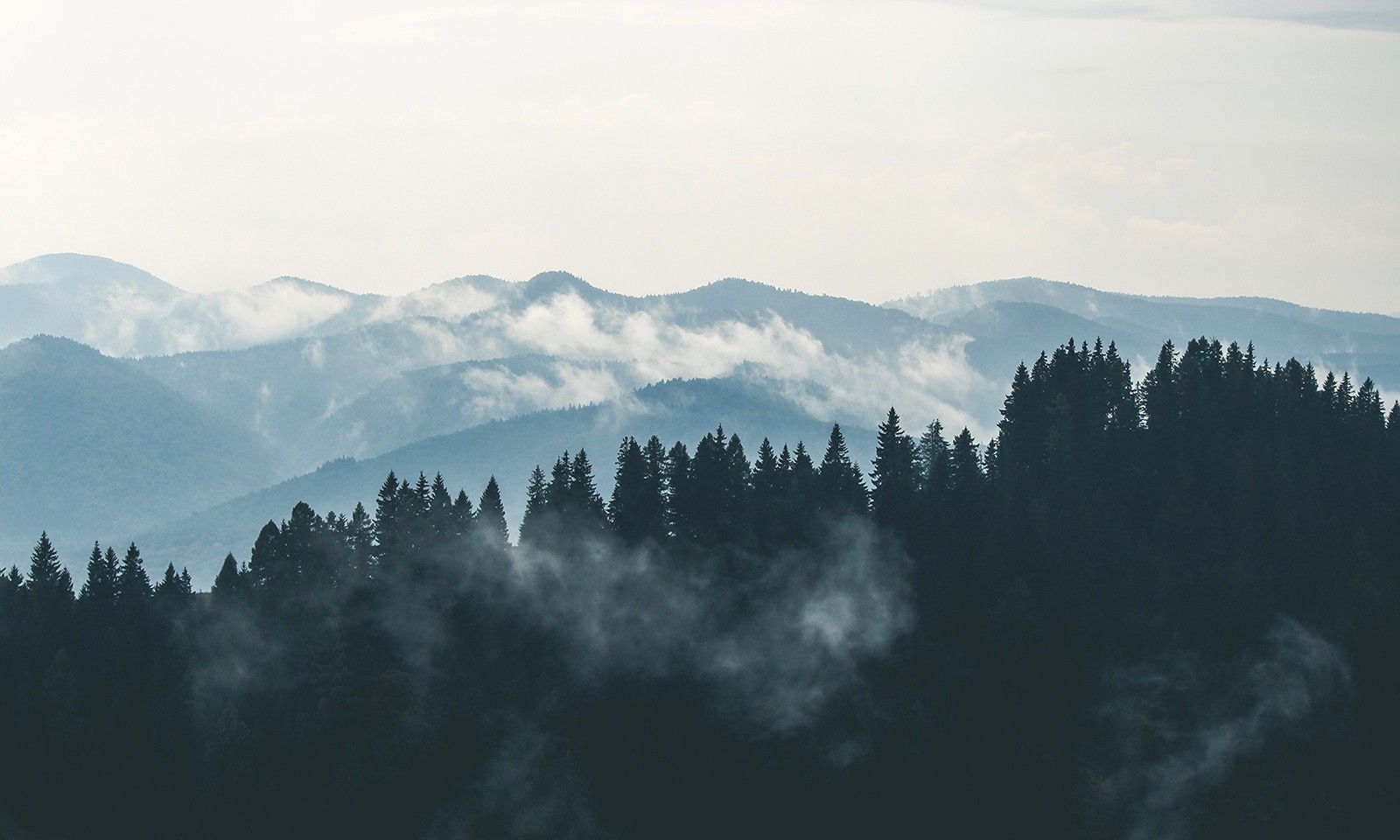 Mountain Peaks Fog  And Pink Clouds Wallpapers