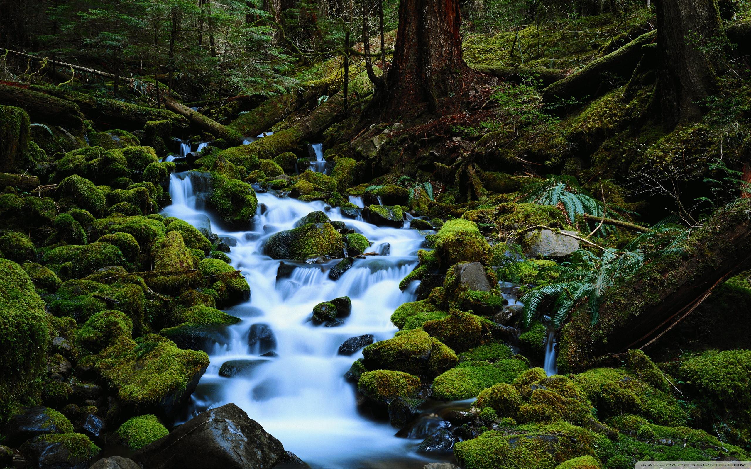 Mountain Streams Wallpapers