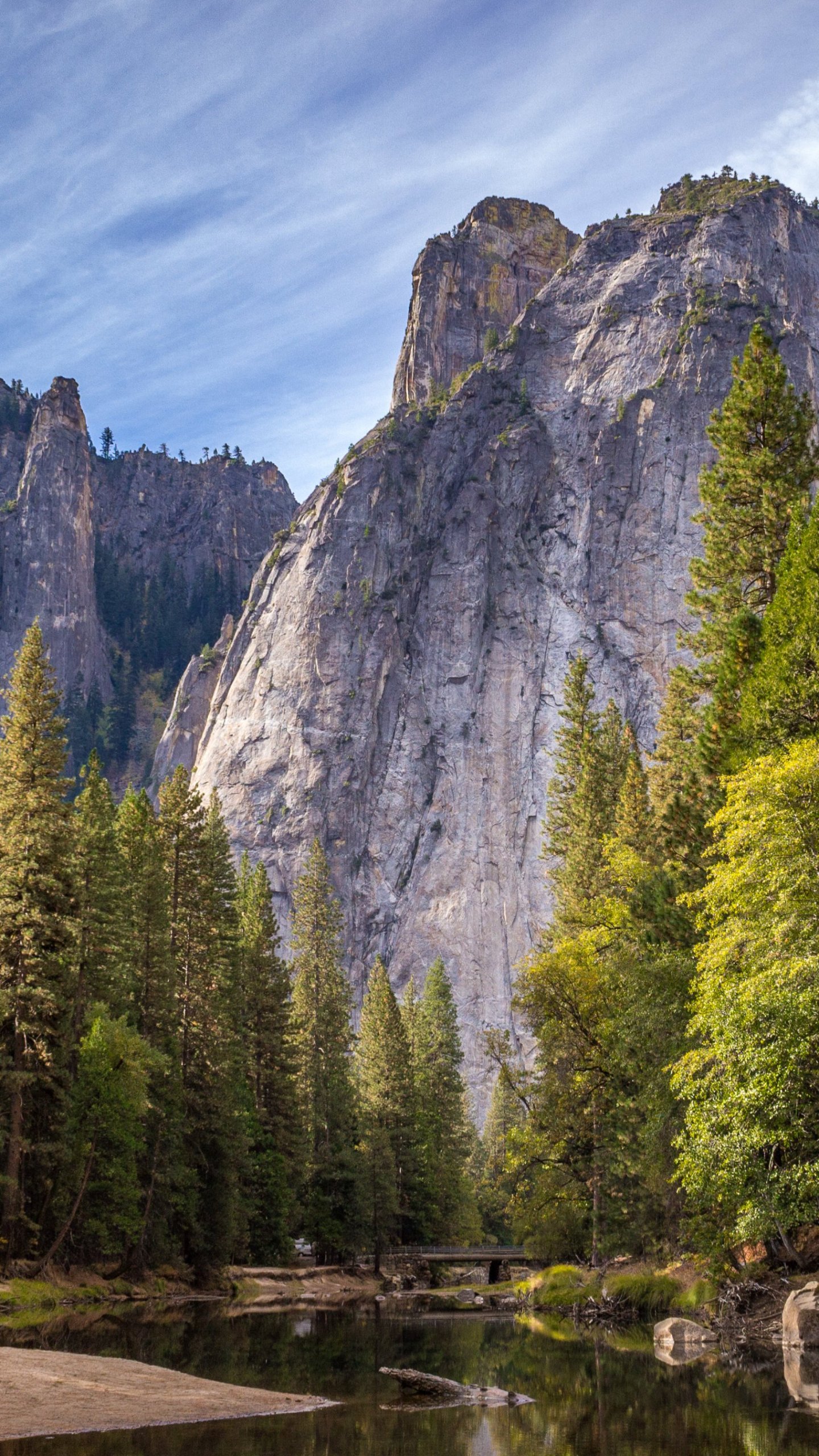 Mountain Trees Wallpapers