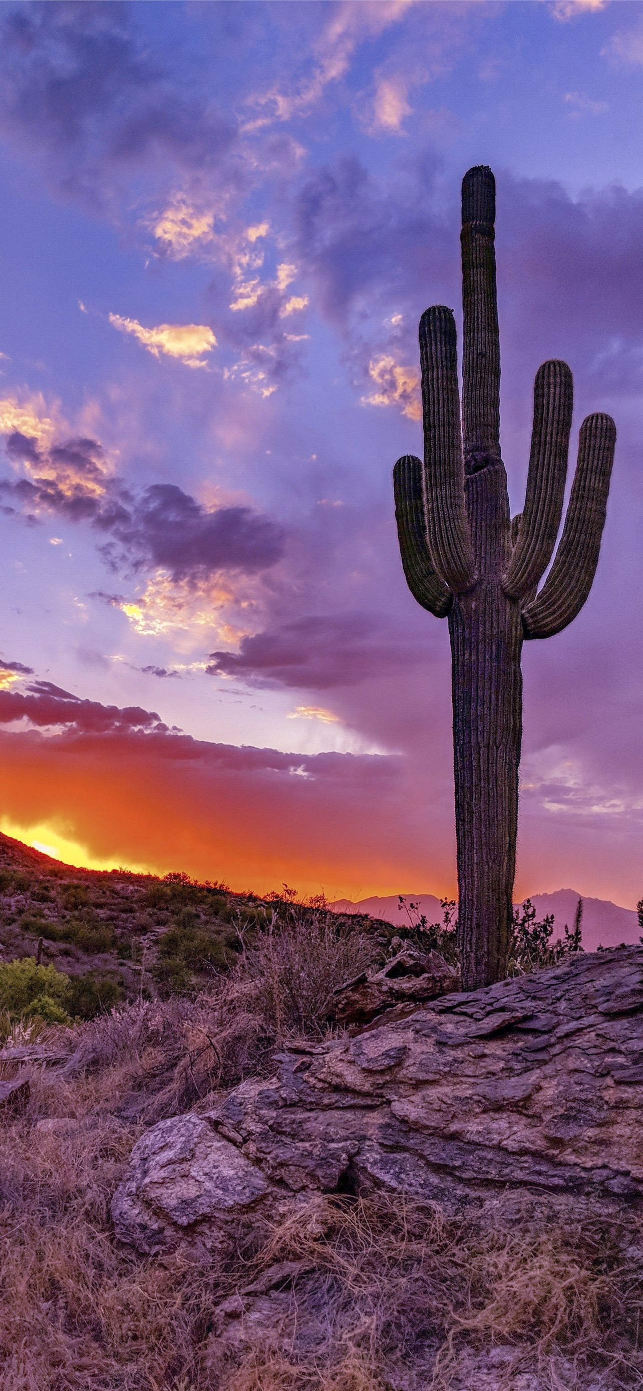 Mountains Valley 4K Arizona Wallpapers