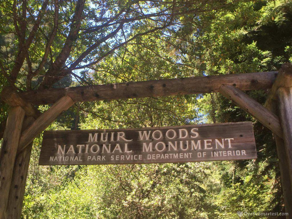 Muir Woods National Monument Wallpapers