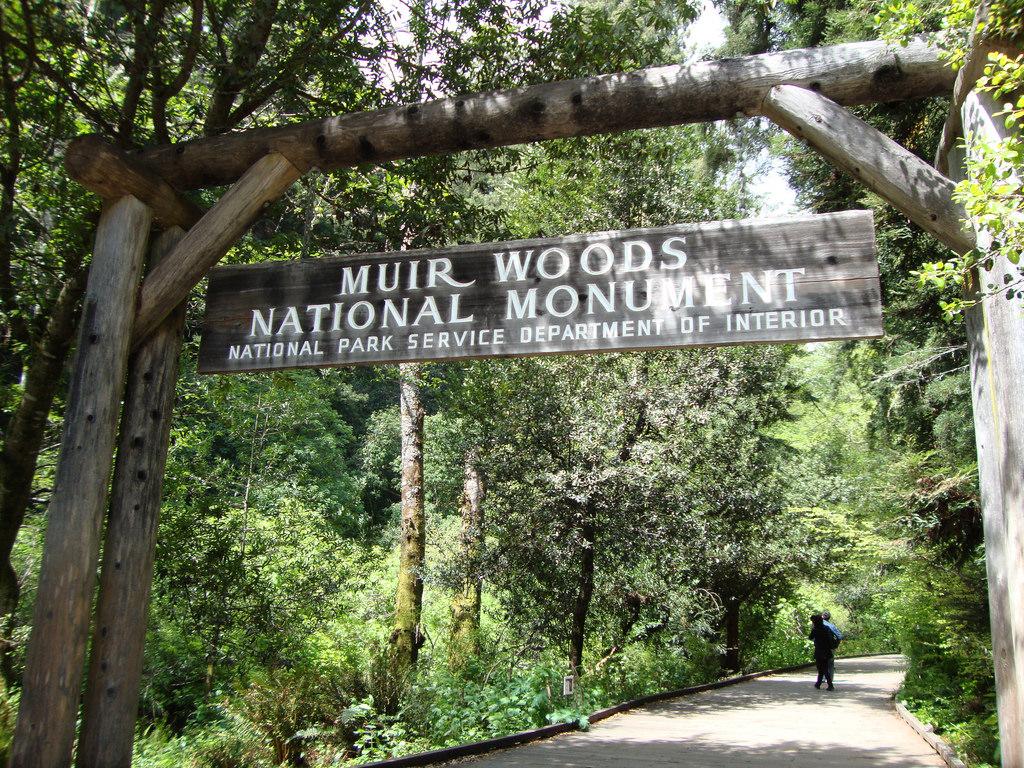 Muir Woods National Monument Wallpapers