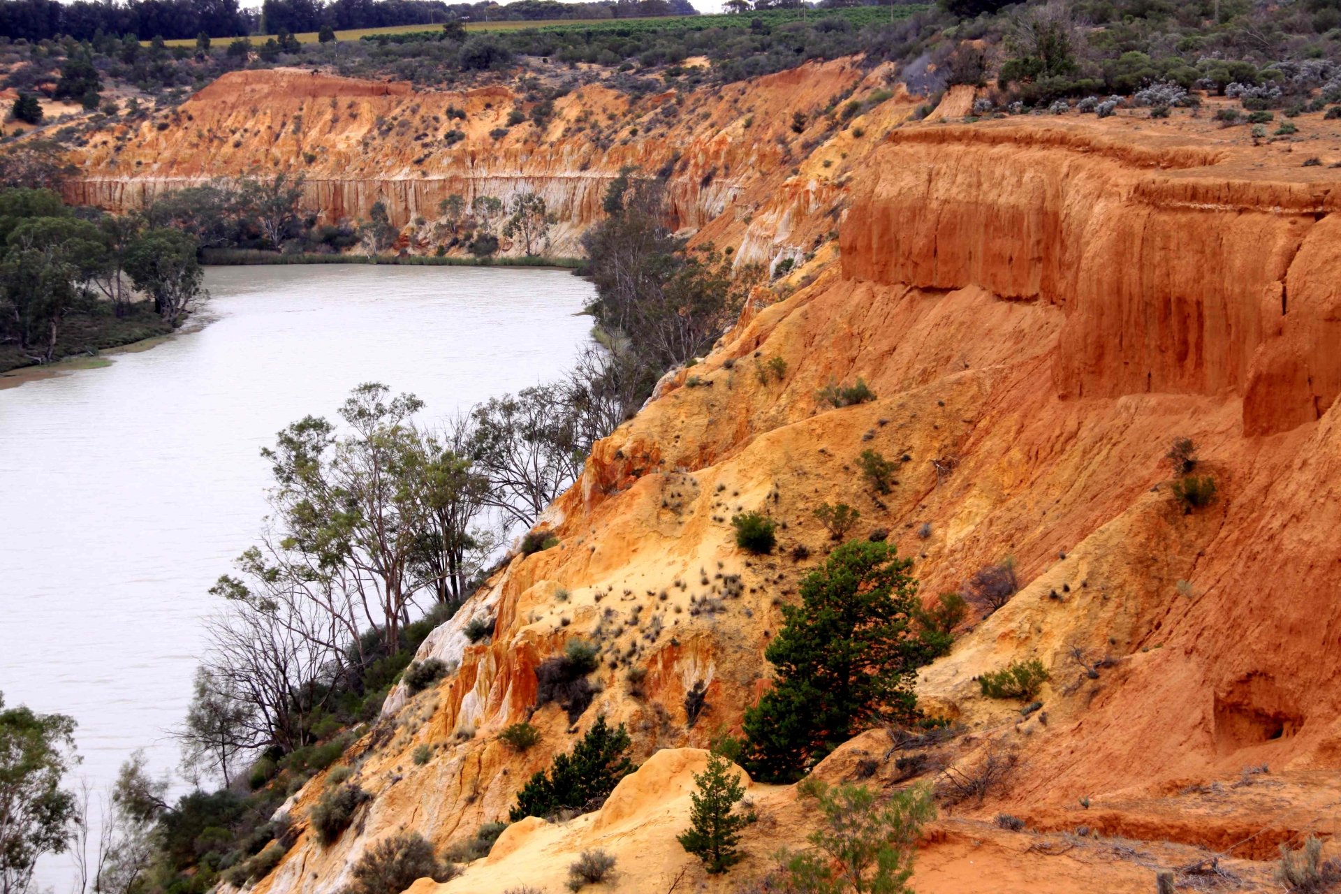 Murray River Wallpapers