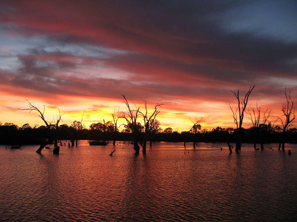 Murray River Wallpapers