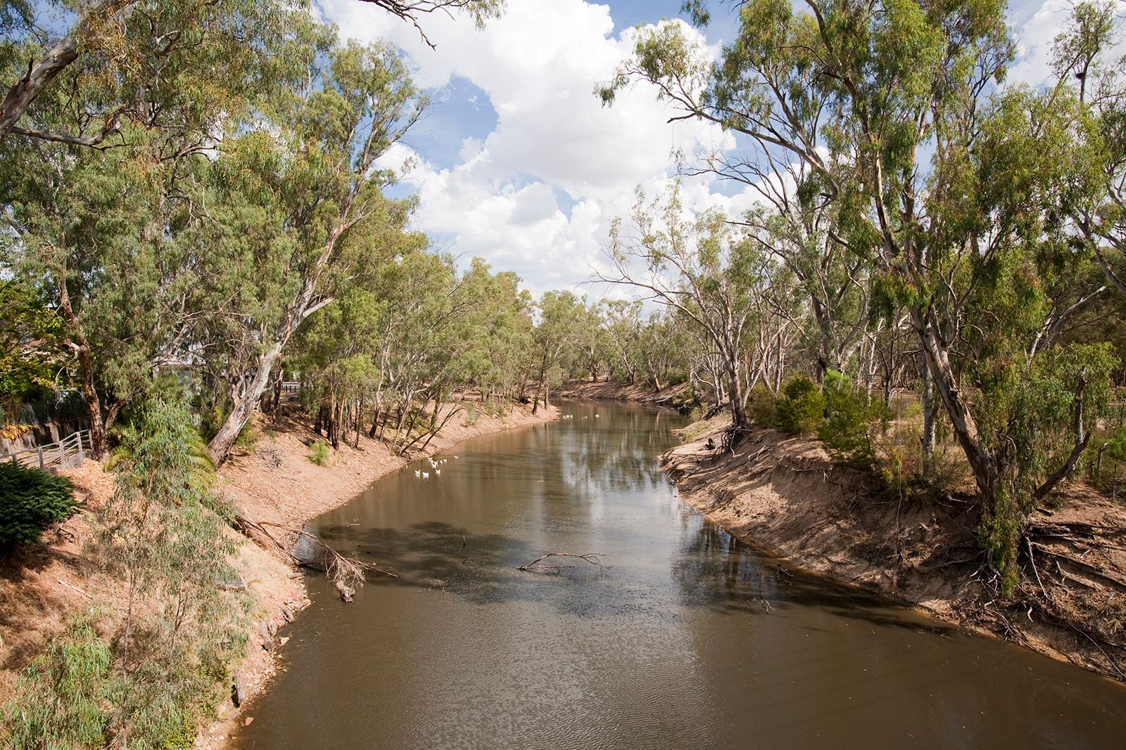 Murray River Wallpapers