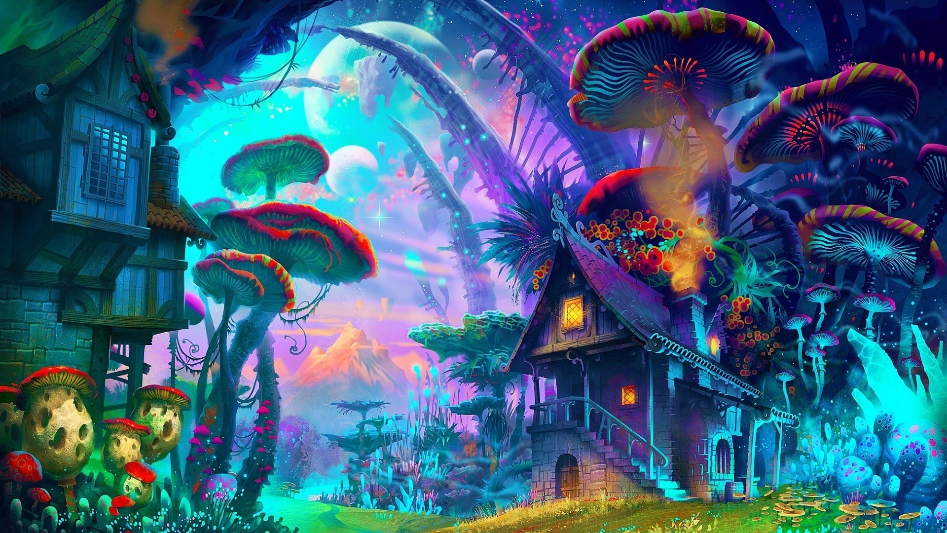 Mushrooms Wallpapers