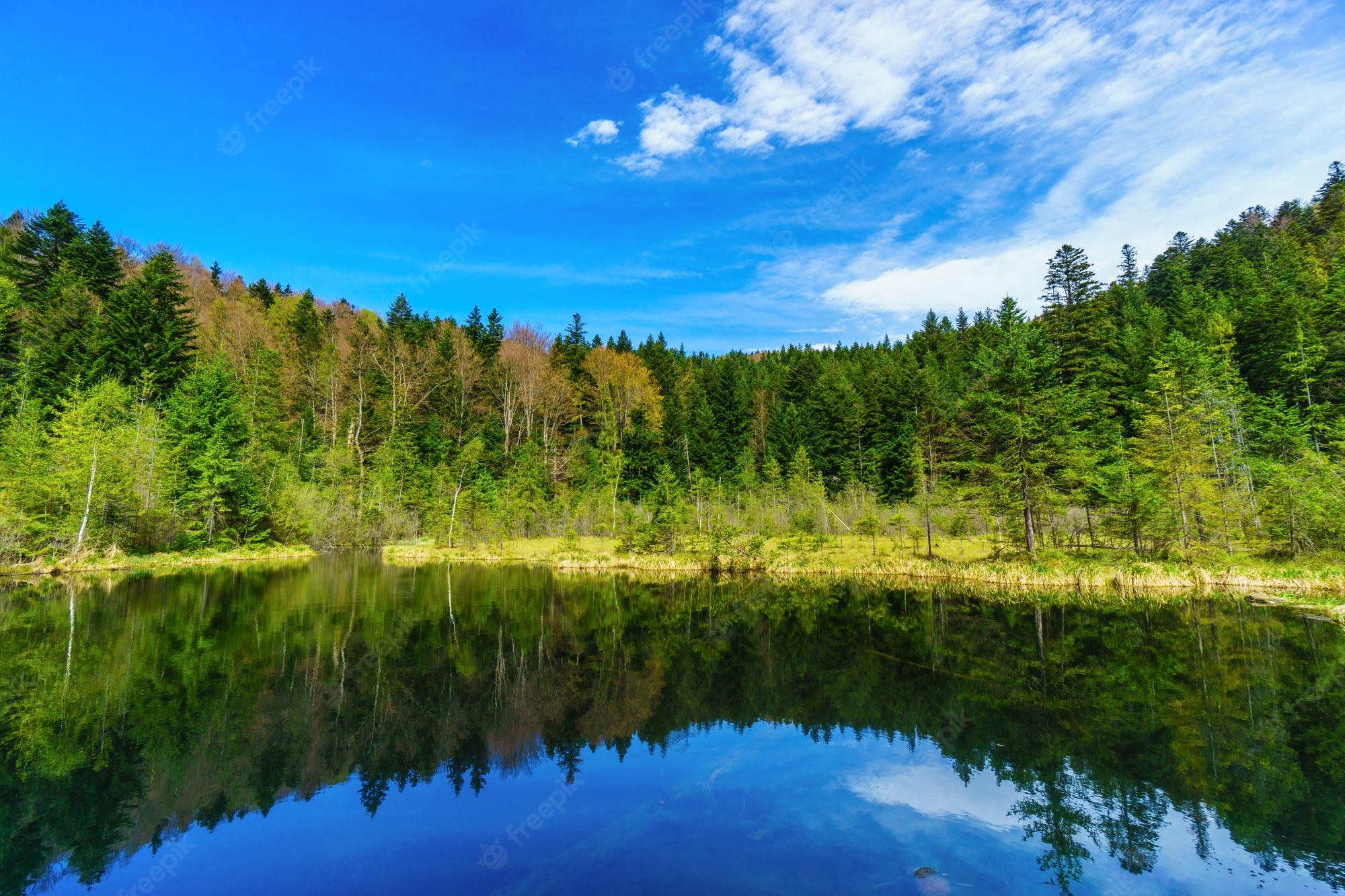 Nature Lake Reflection On River Wallpapers