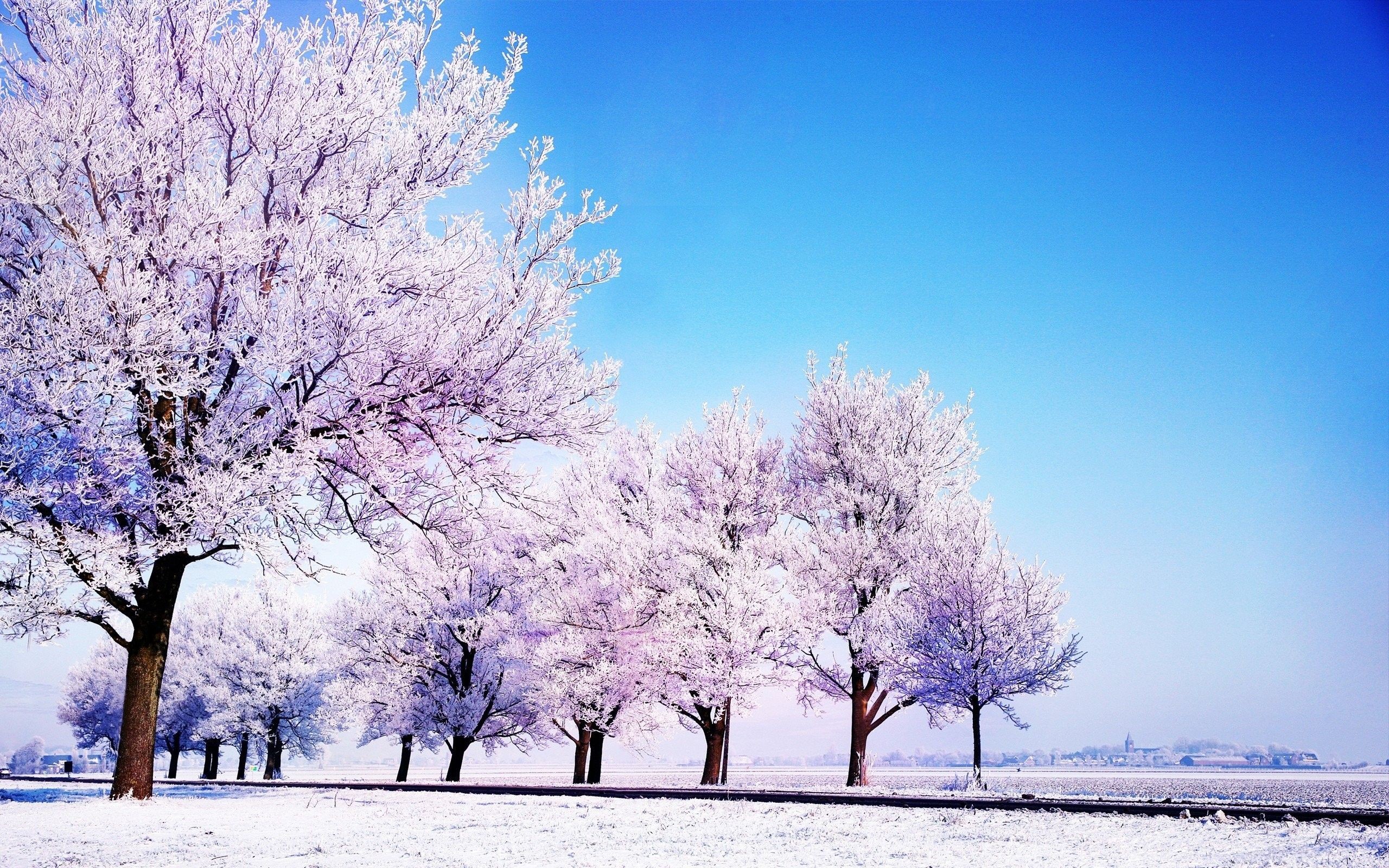 Nature Stock From Macos Sierra Wallpapers