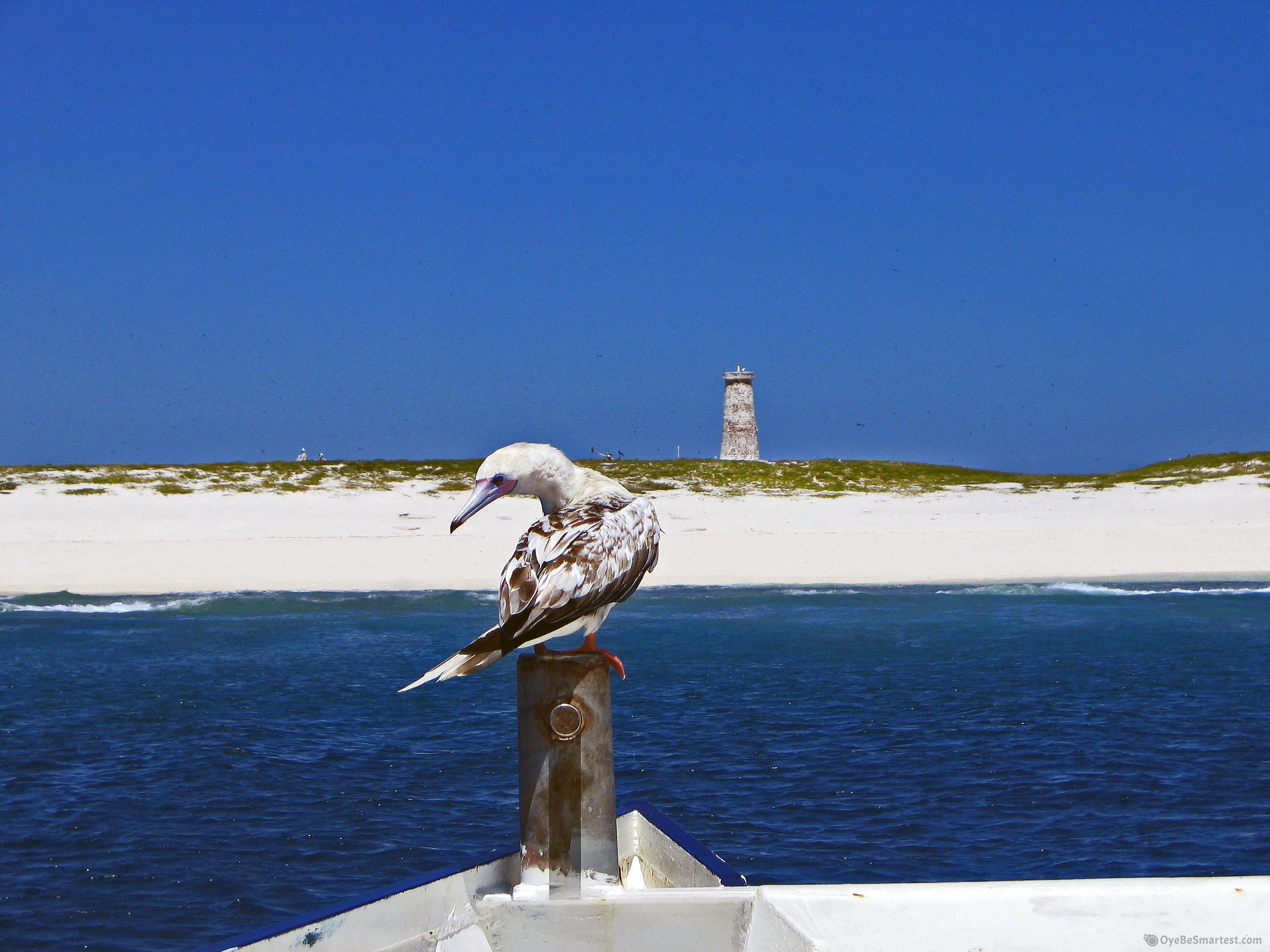 Navassa Island Wallpapers