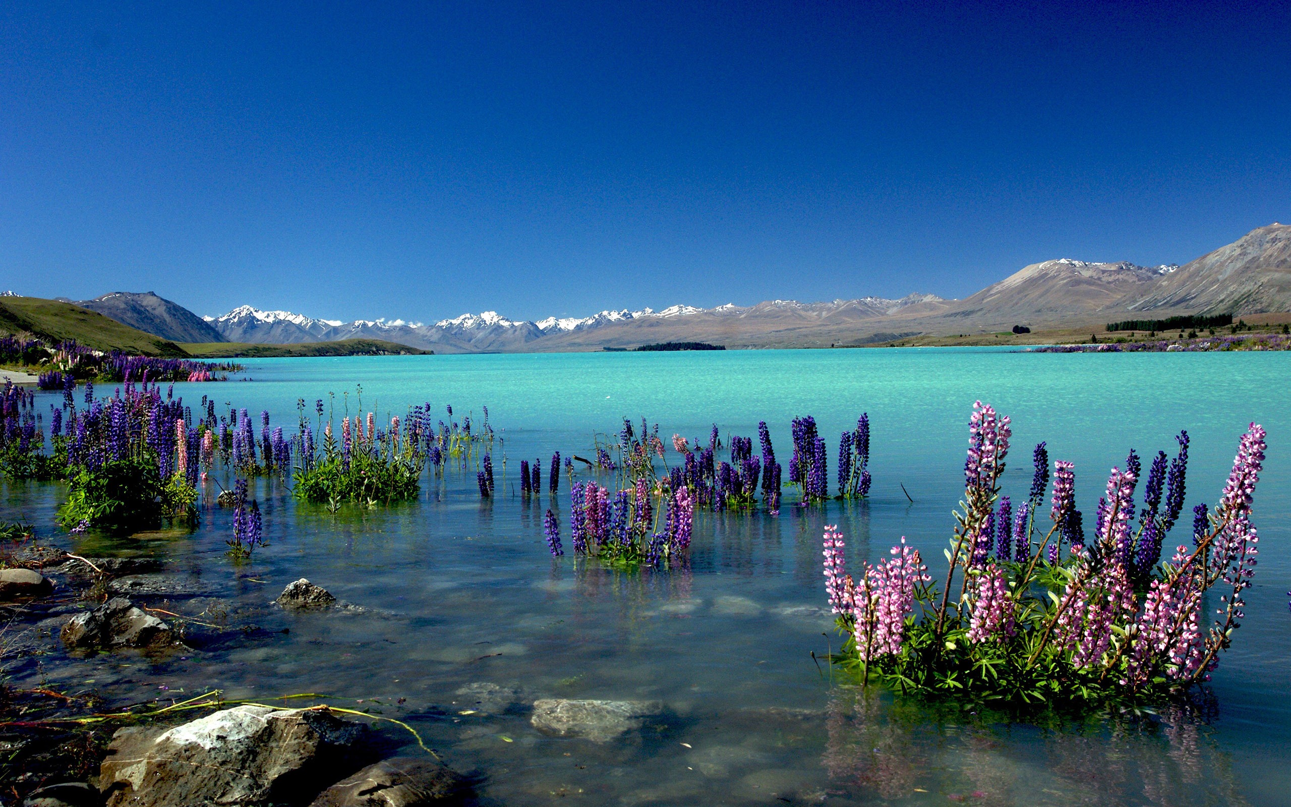 New Zealand Lake View Wallpapers