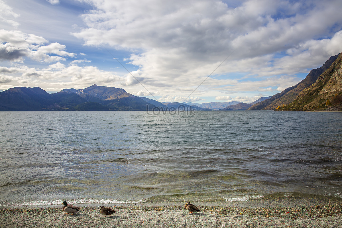 New Zealand Lake View Wallpapers