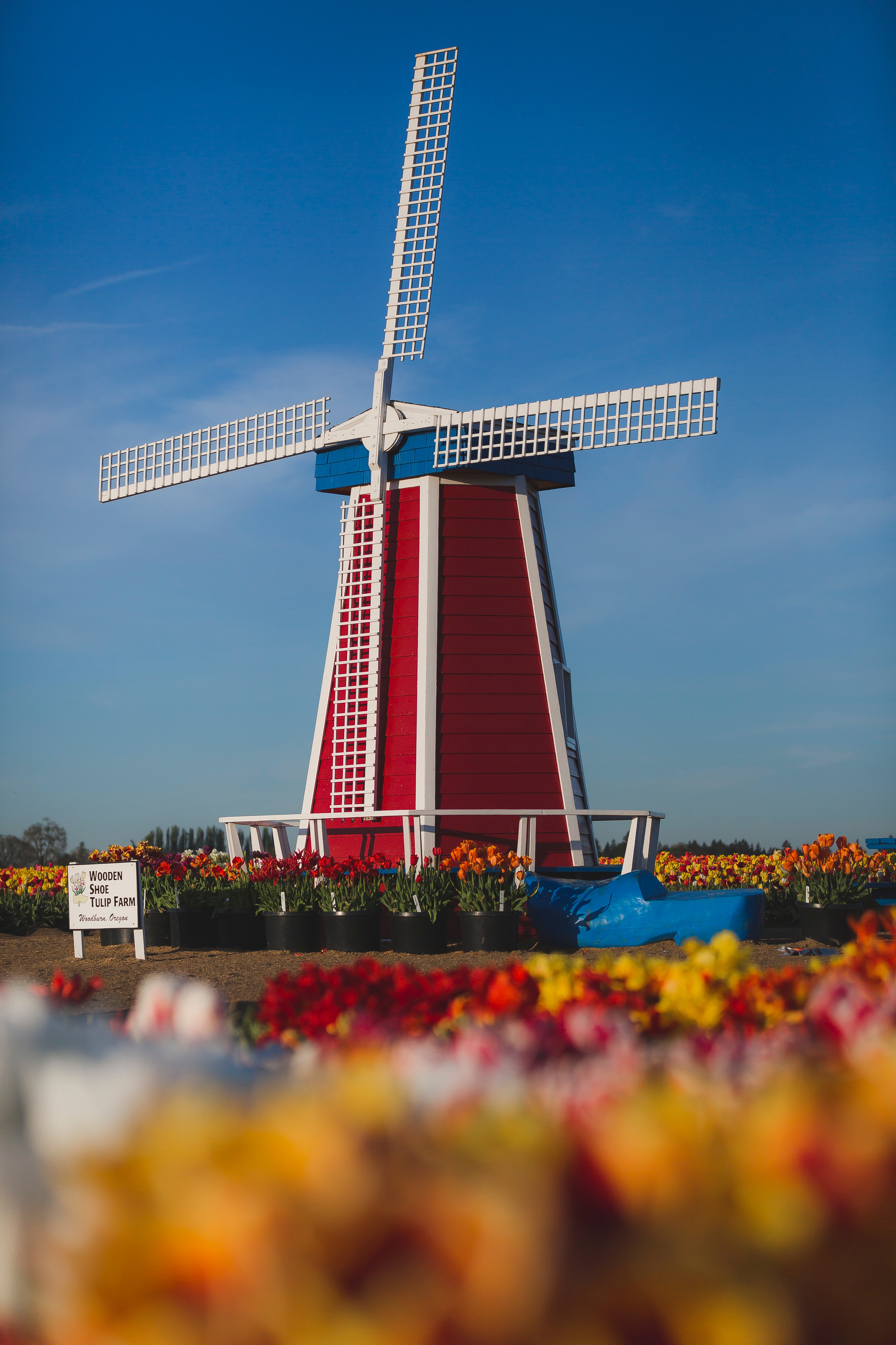 Night Windmill Buildings Wallpapers