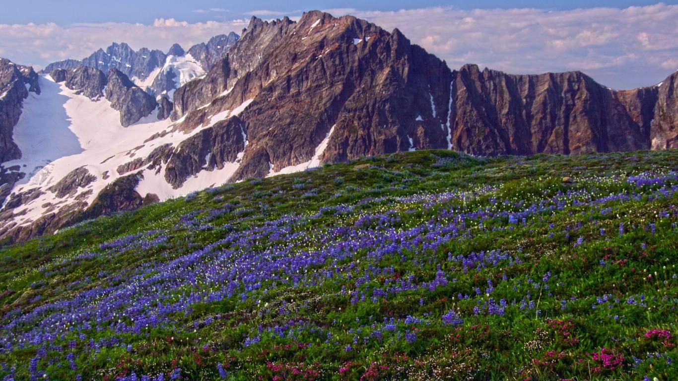 North Cascades National Park Wallpapers