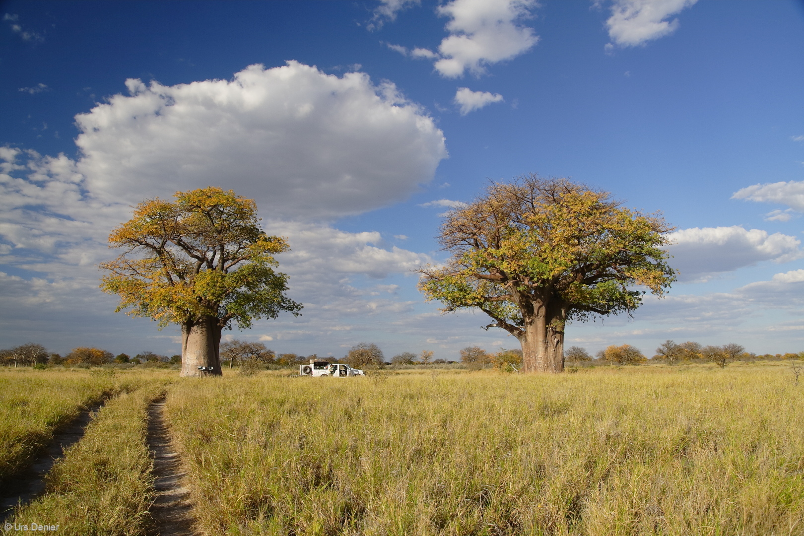 Nxai Pan National Park Wallpapers