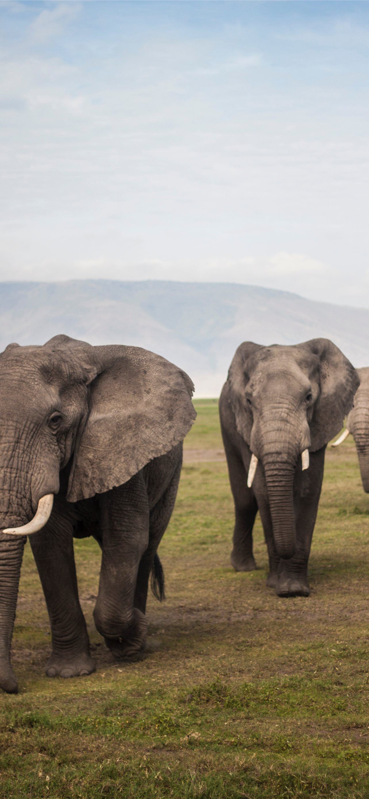 Nyika National Park Wallpapers