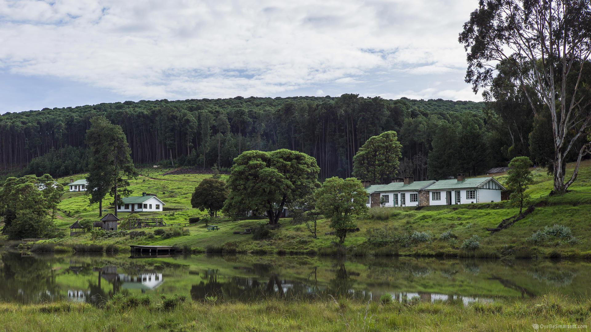 Nyika National Park Wallpapers