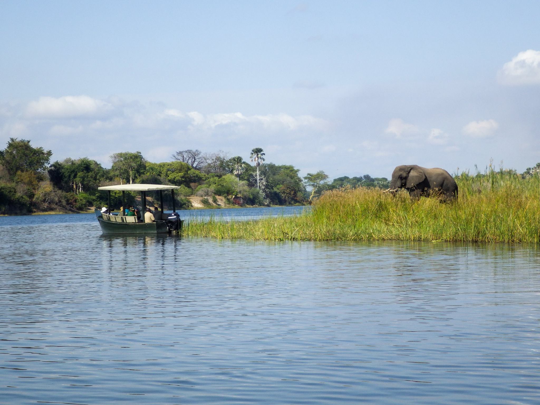 Nyika National Park Wallpapers