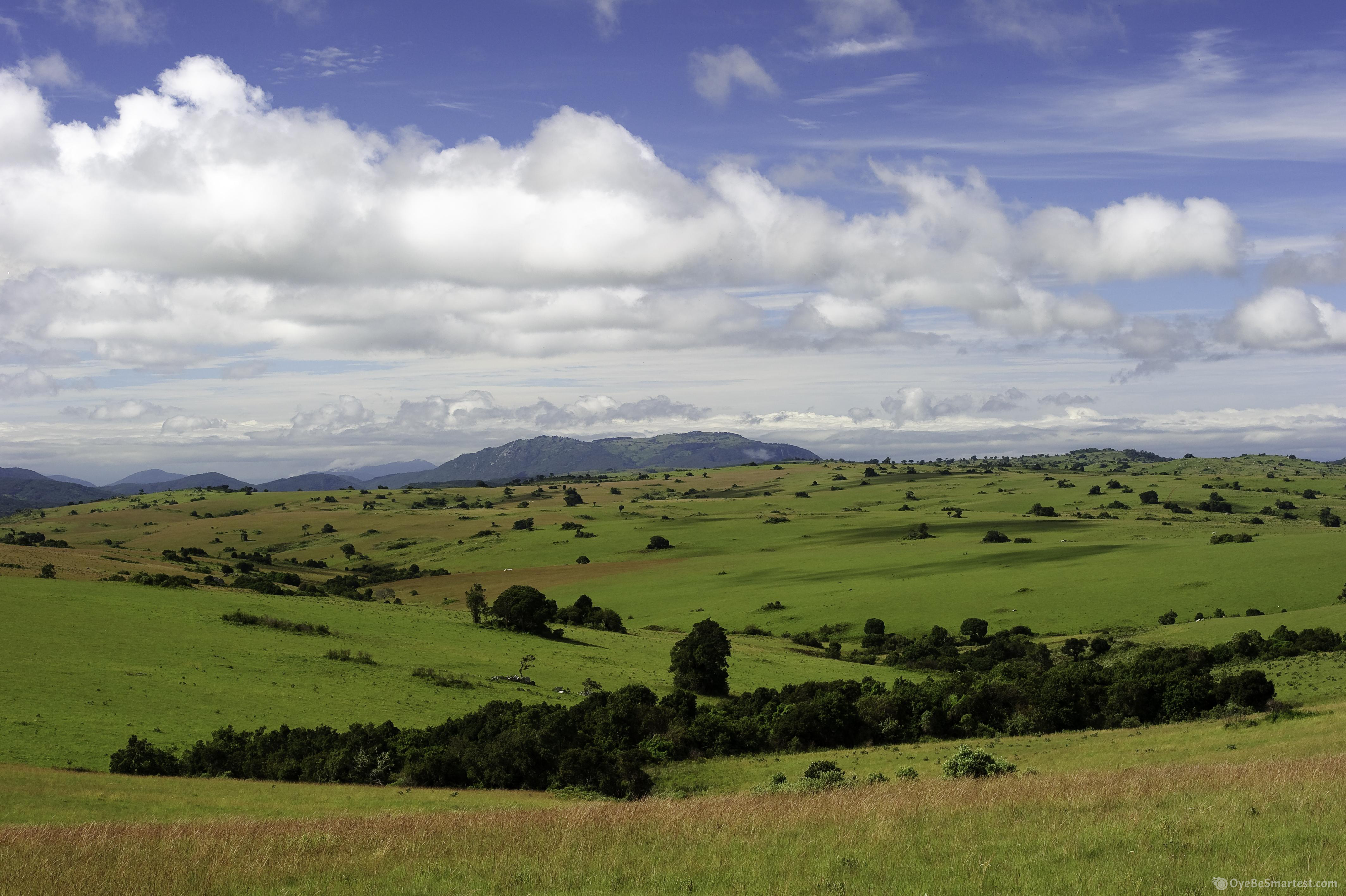 Nyika National Park Wallpapers