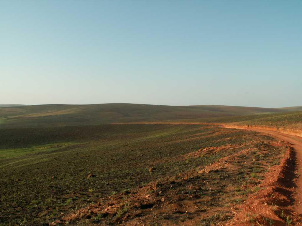 Nyika National Park Wallpapers