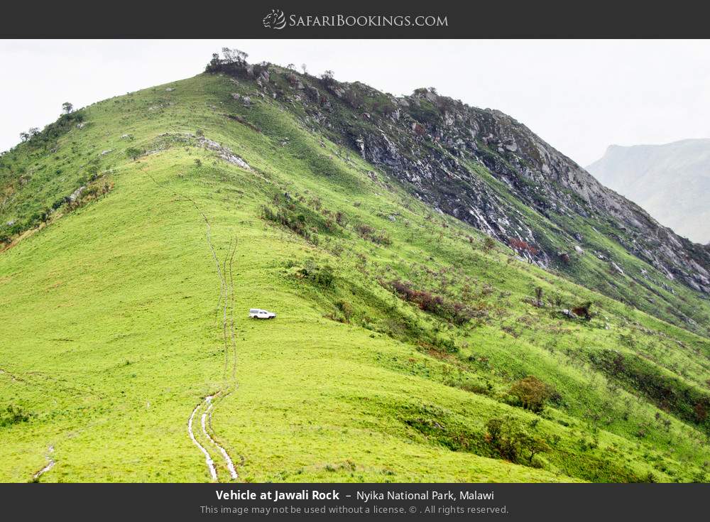 Nyika National Park Wallpapers