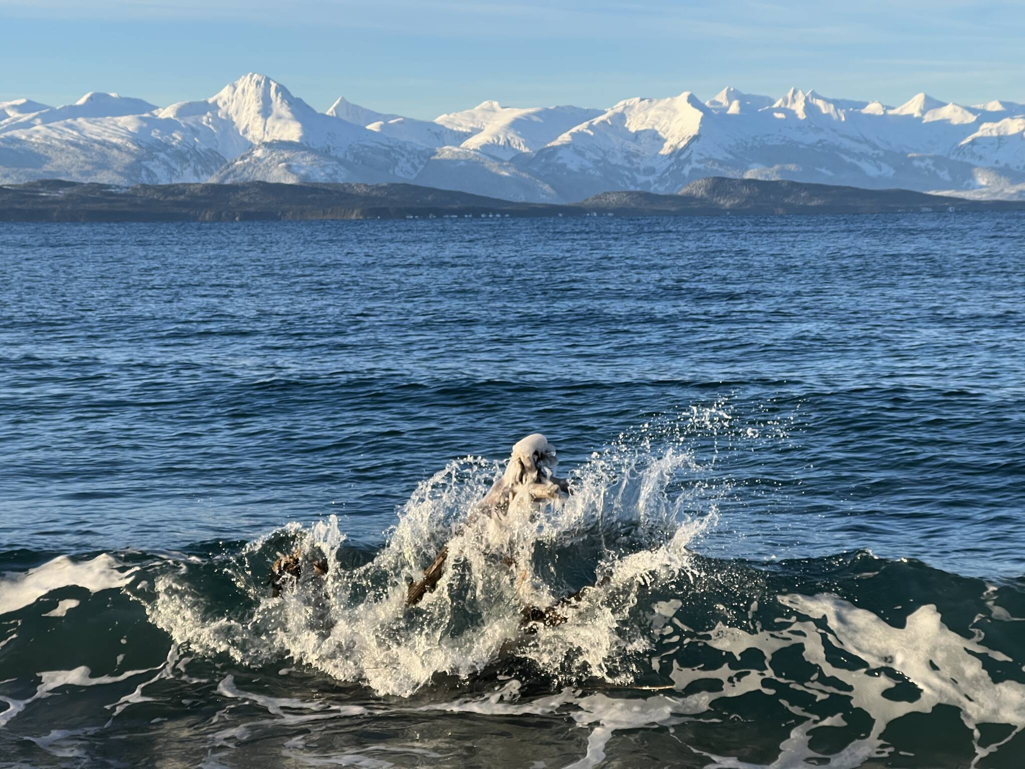 Ocean In Alaska Juneau Wallpapers
