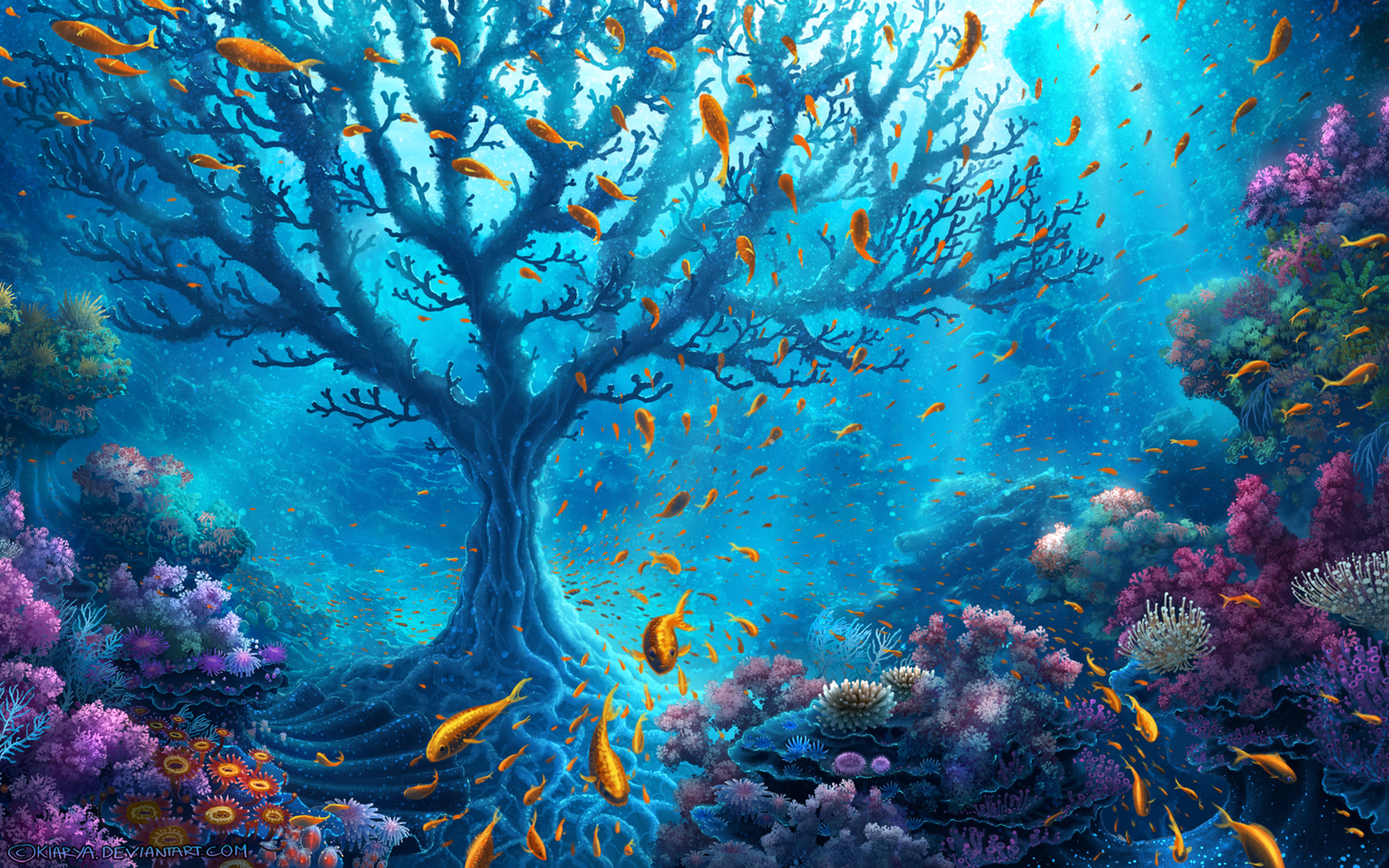 Ocean Tree Wallpapers