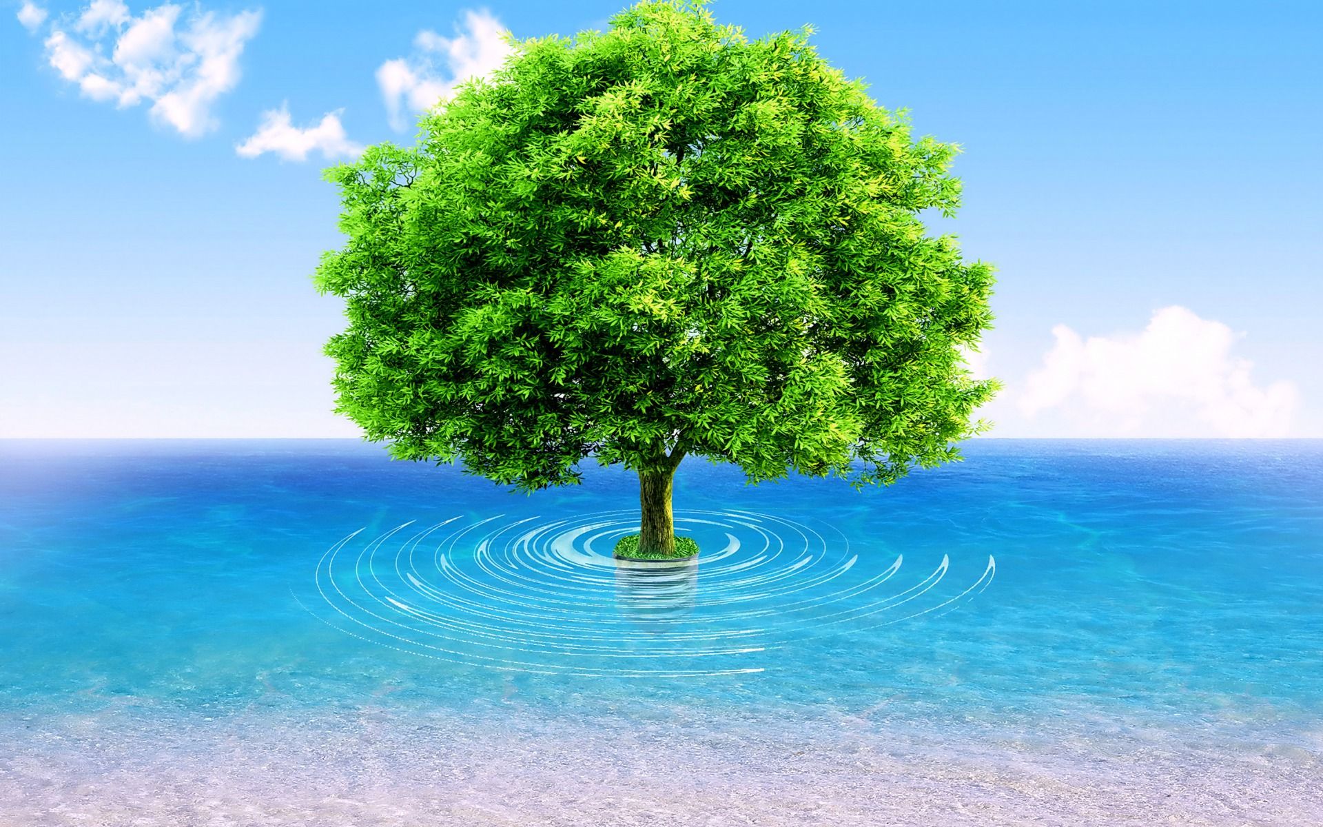 Ocean Tree Wallpapers