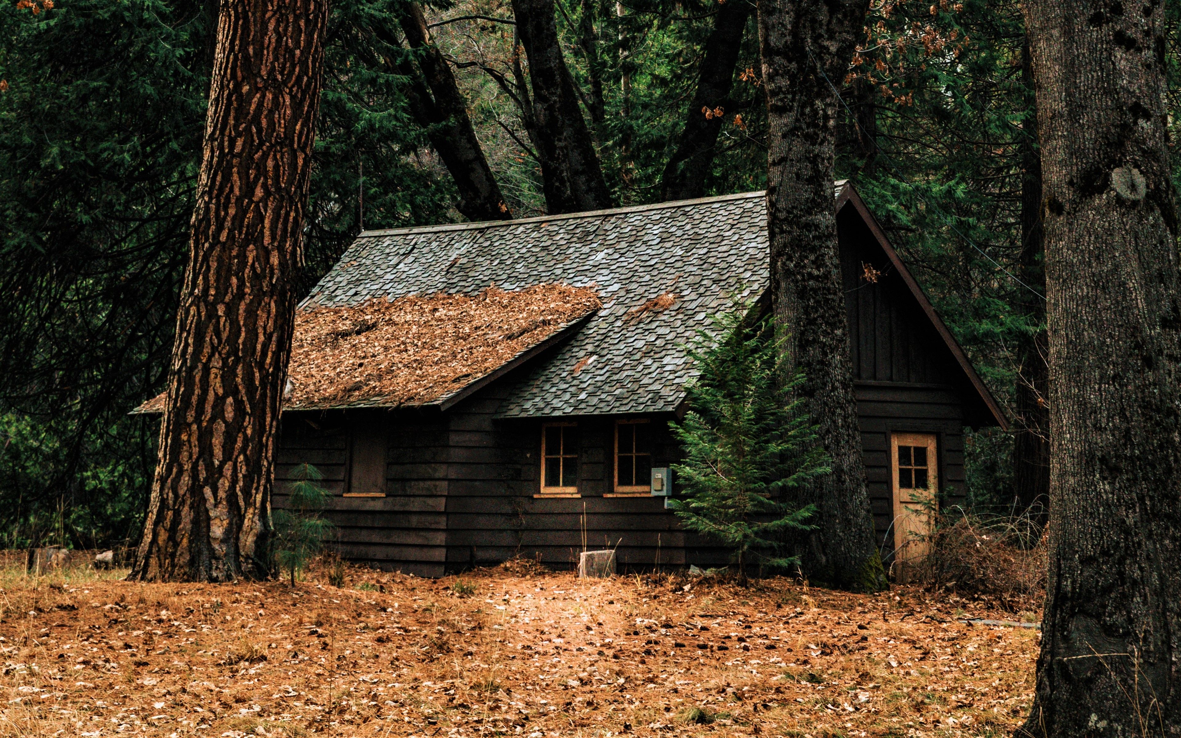 Old House In Forest Wallpapers