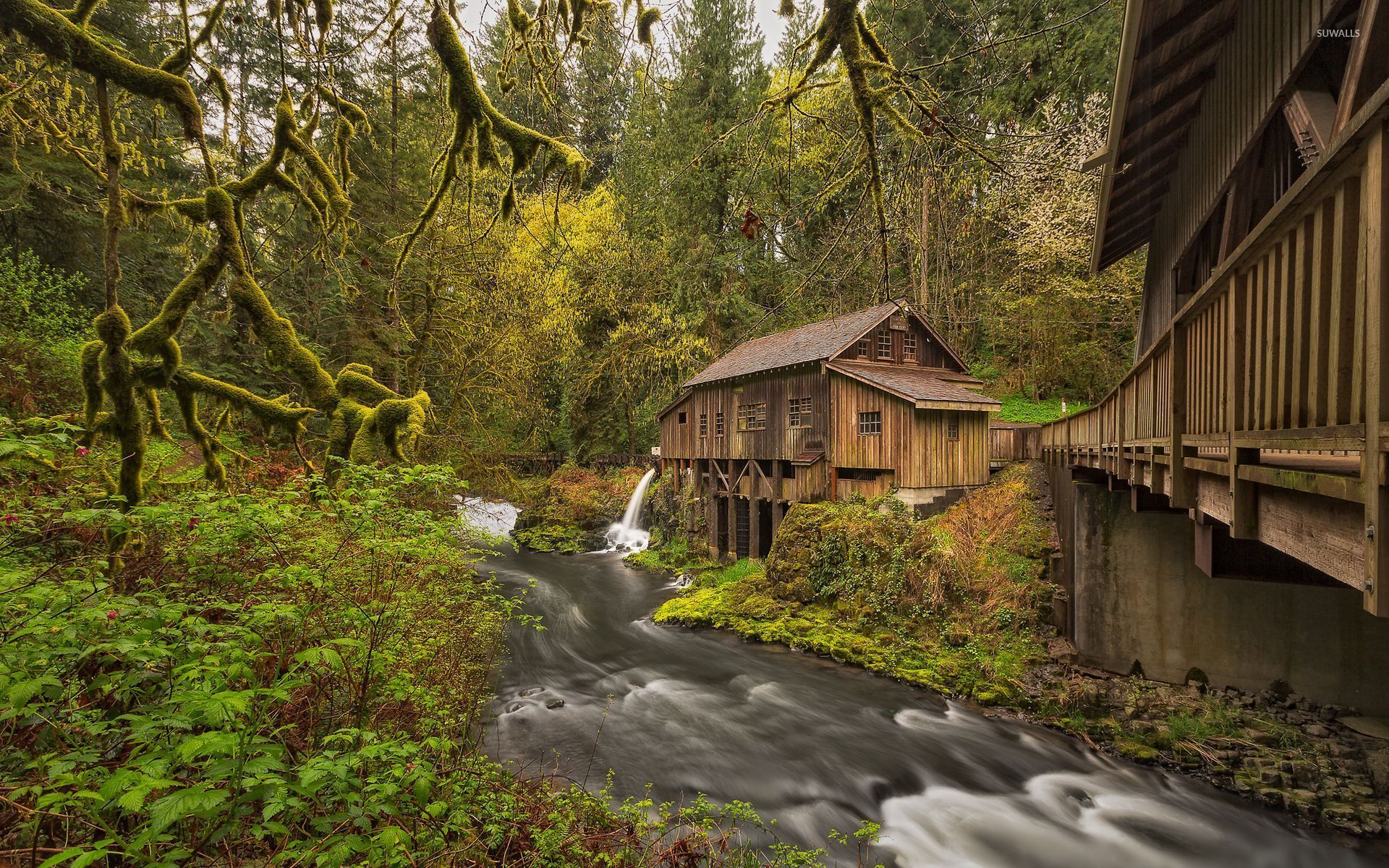 Old House In Forest Wallpapers