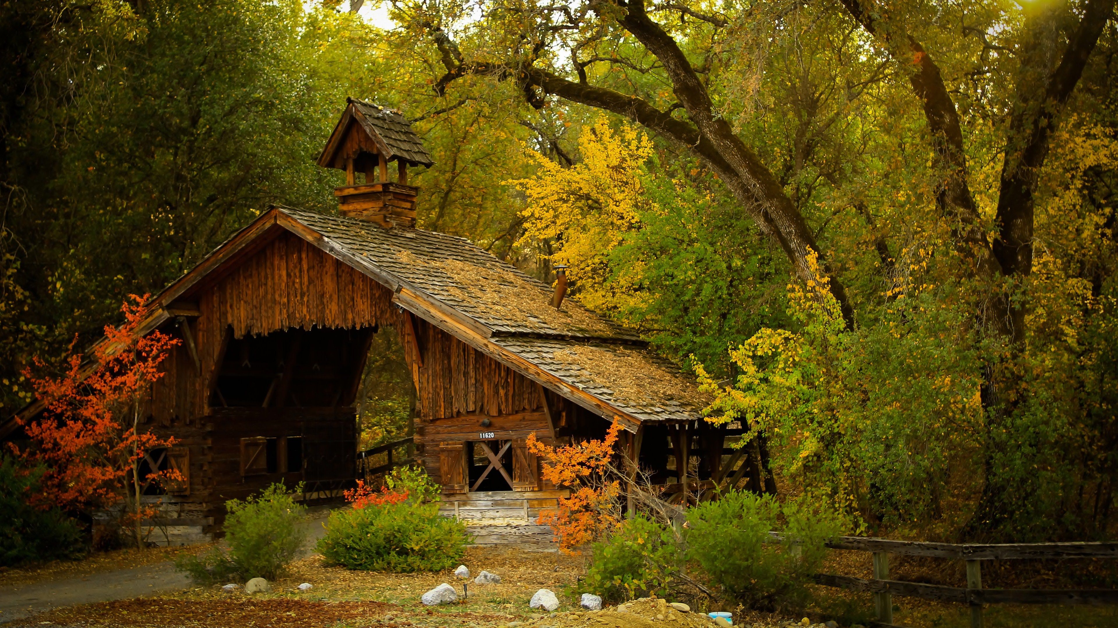 Old House In Forest Wallpapers