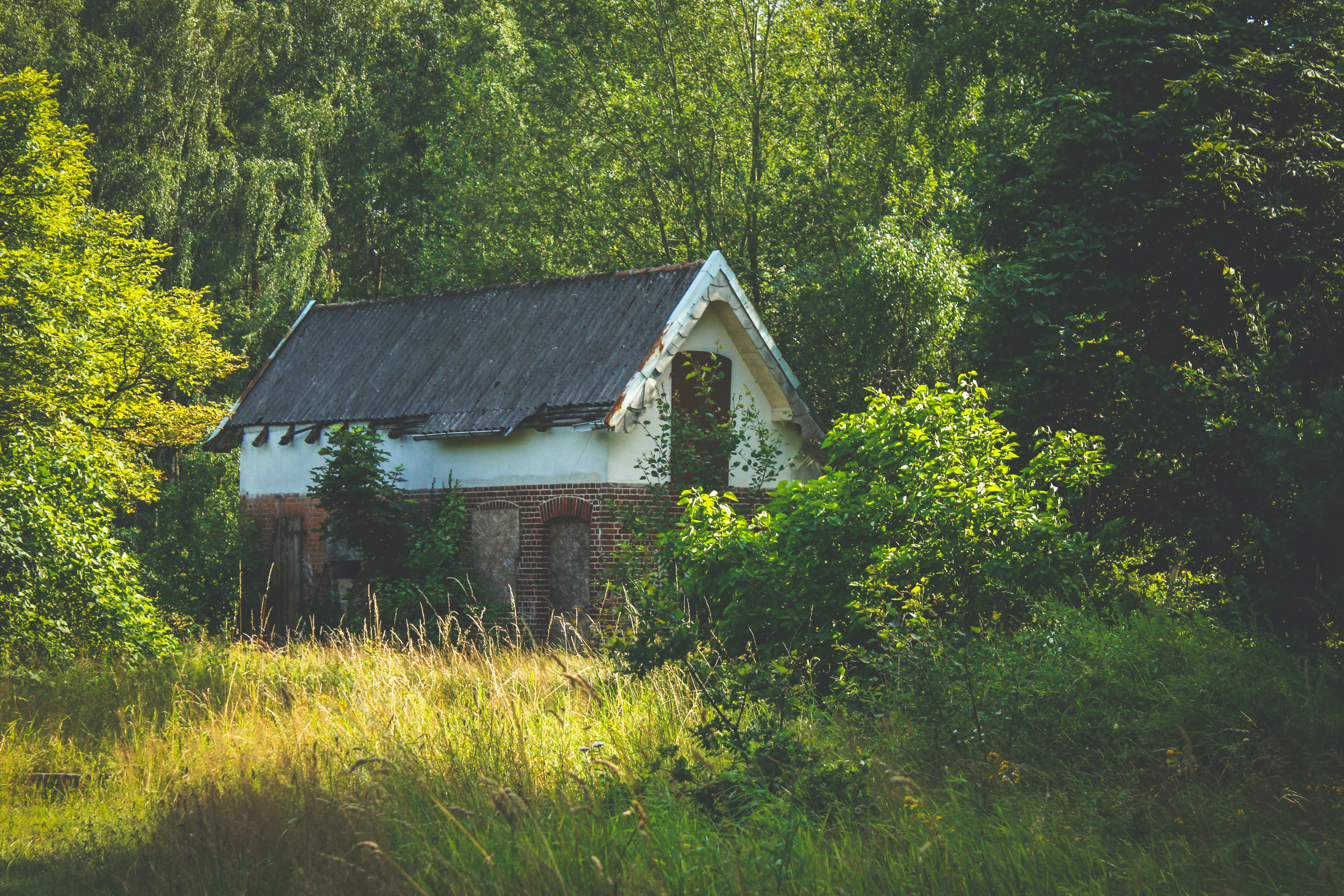 Old House In Forest Wallpapers