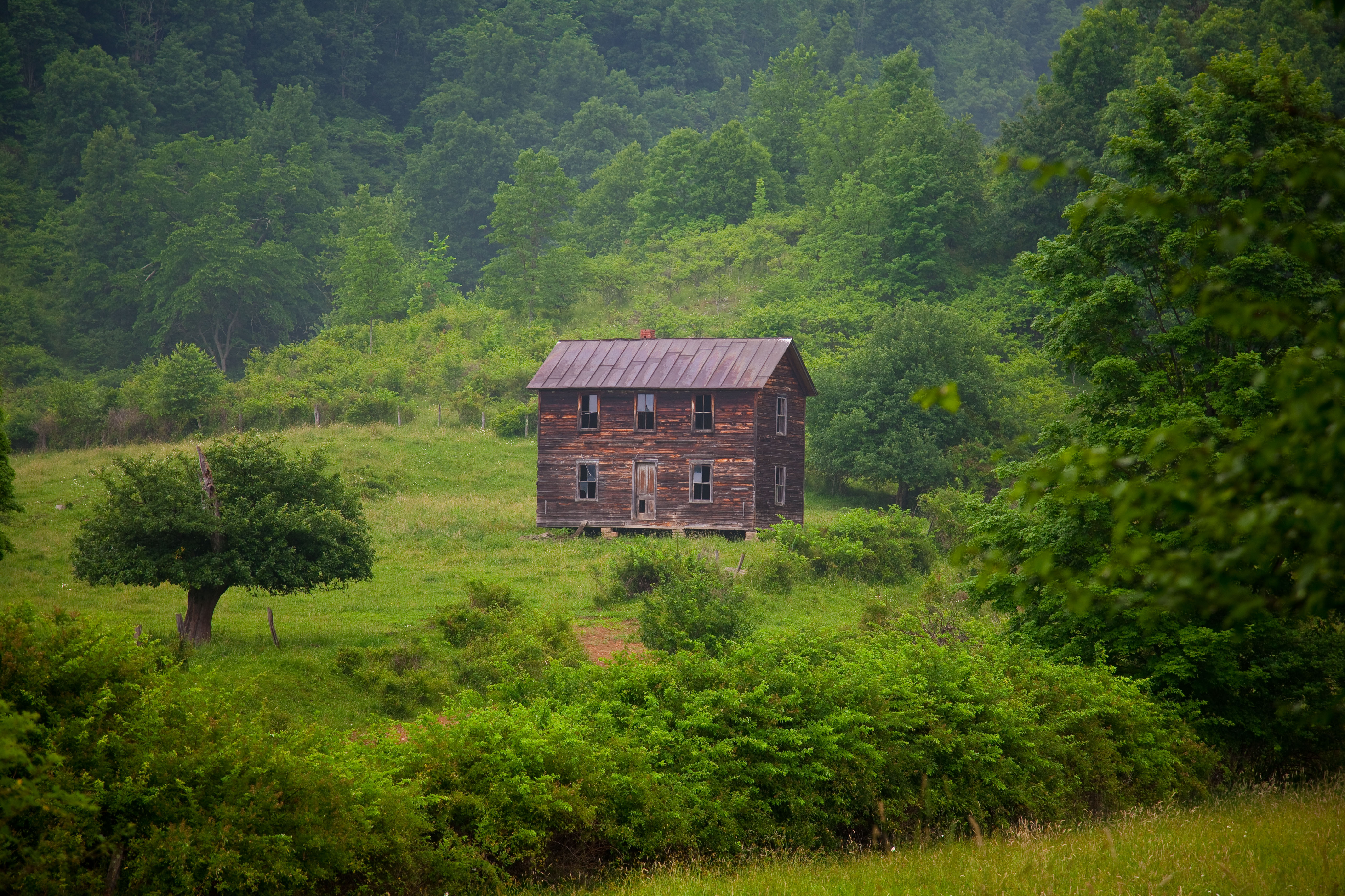 Old House In Forest Wallpapers