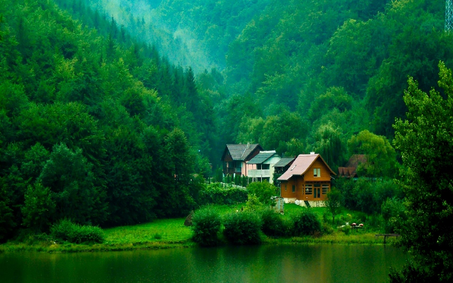 Old House In Forest Wallpapers