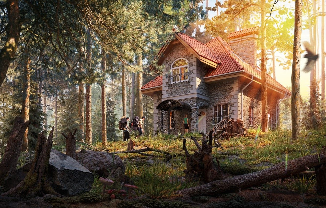 Old House In Forest Wallpapers