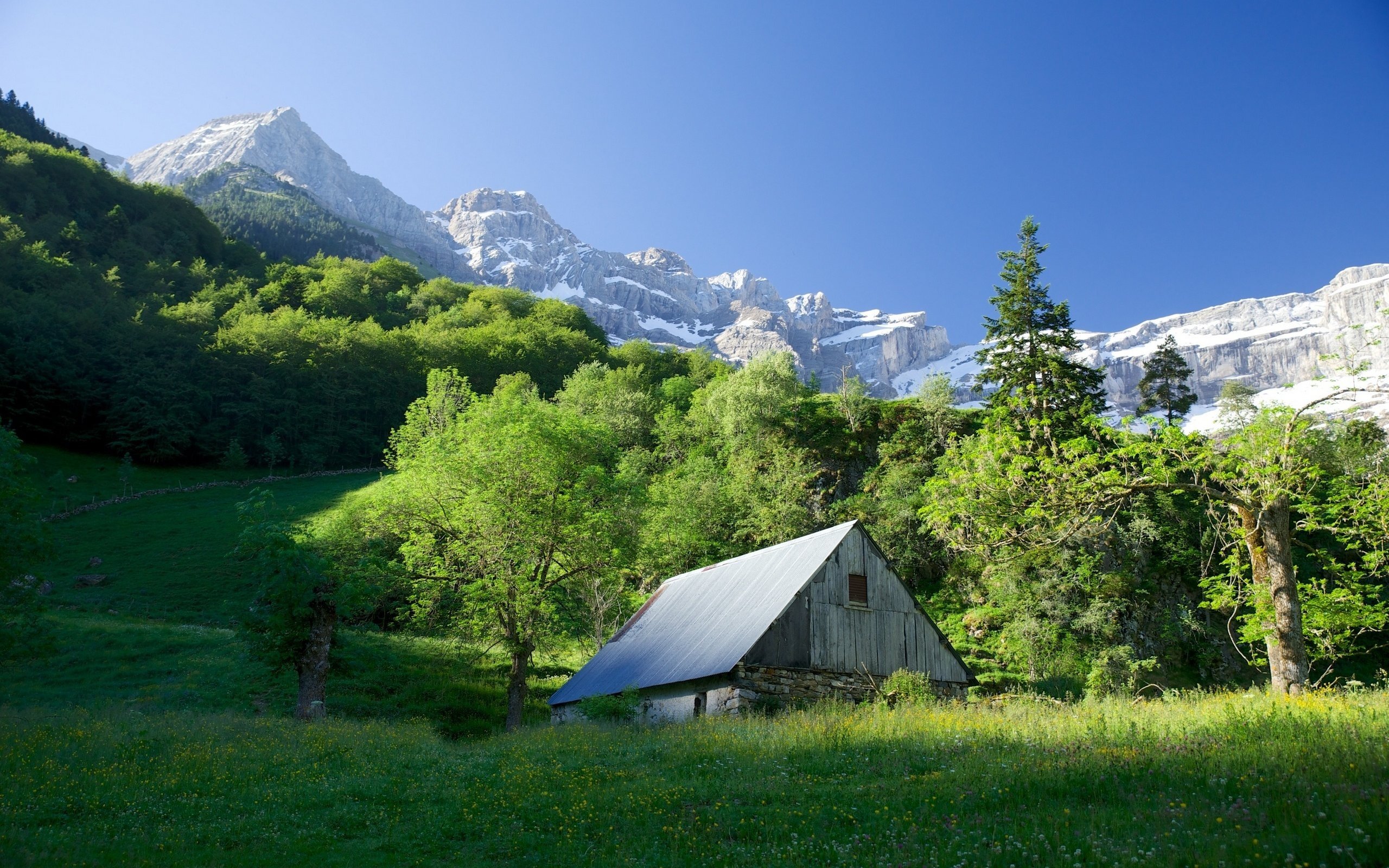 Old House In Forest Wallpapers