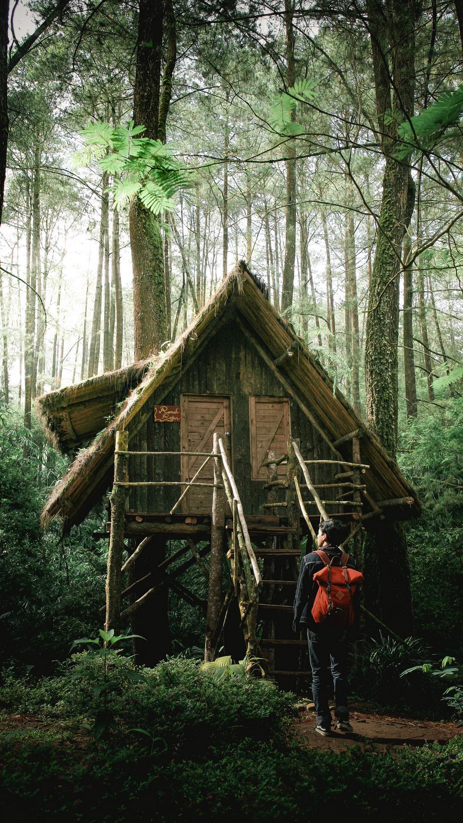 Old House In Forest Wallpapers