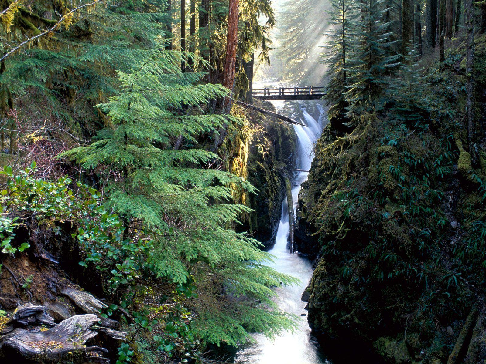 Olympic National Park Wallpapers