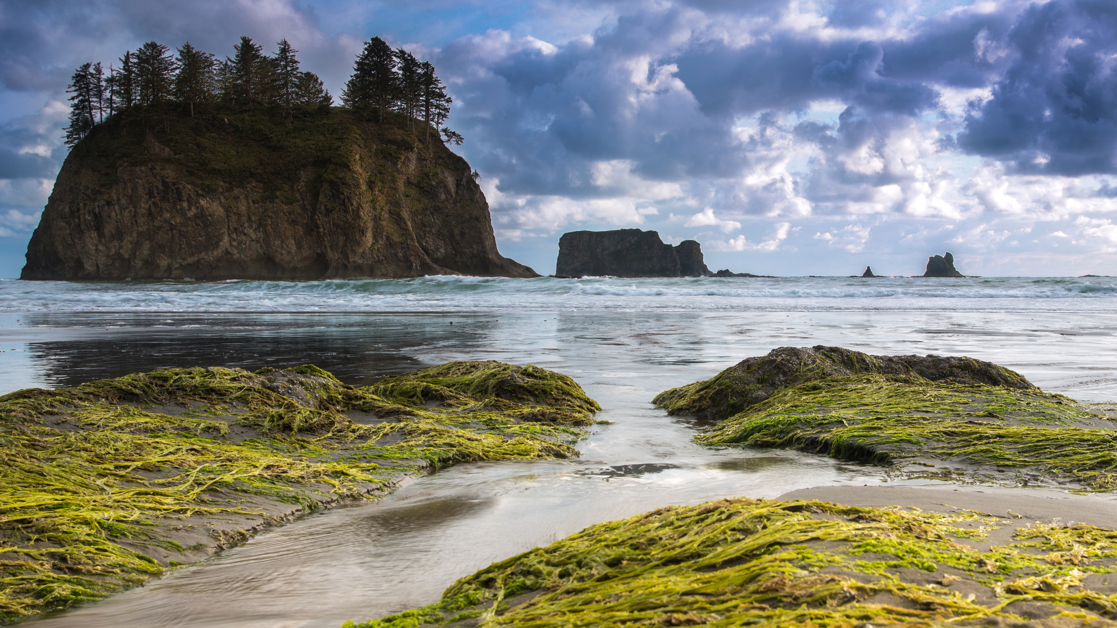 Olympic National Park Wallpapers