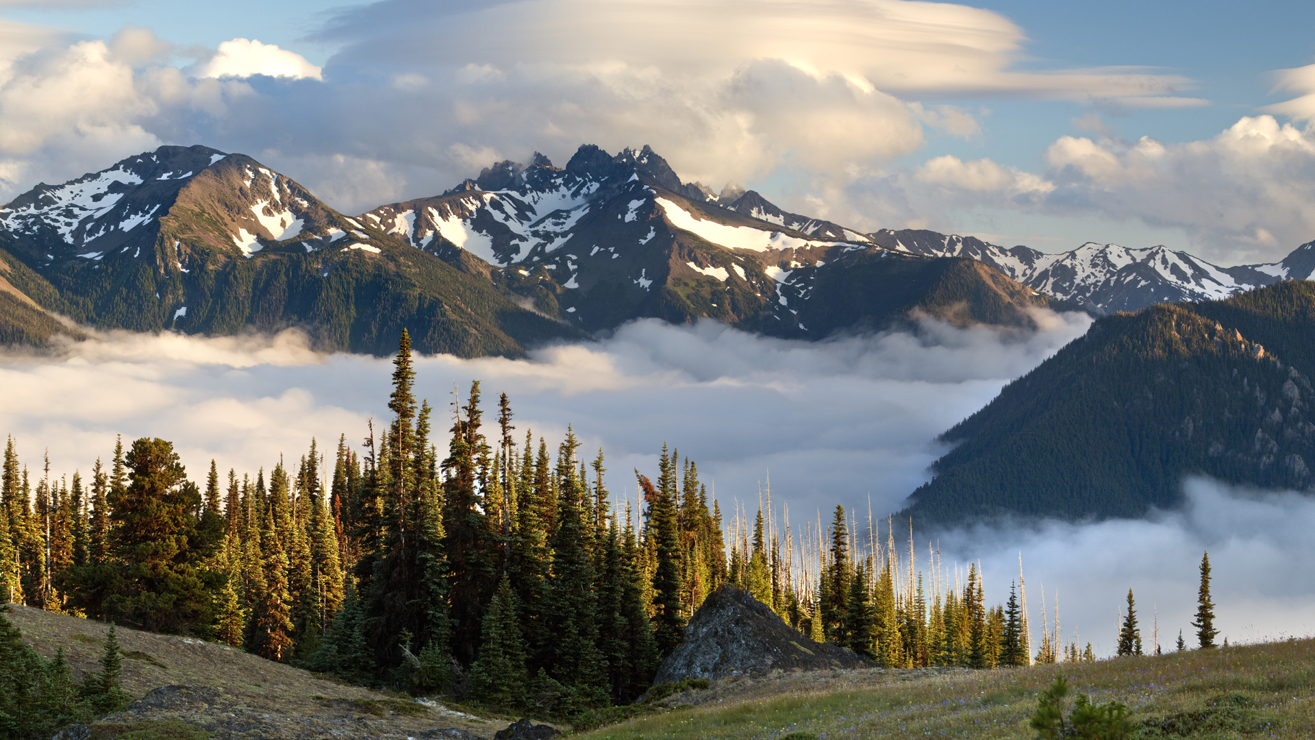 Olympic National Park Wallpapers