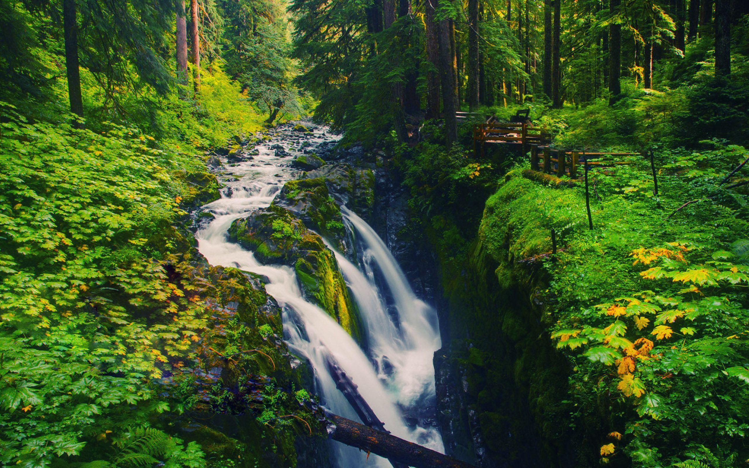 Olympic National Park Wallpapers